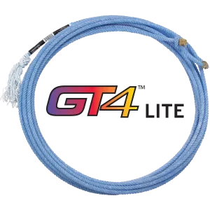 GT4 TRUE 35 - HM