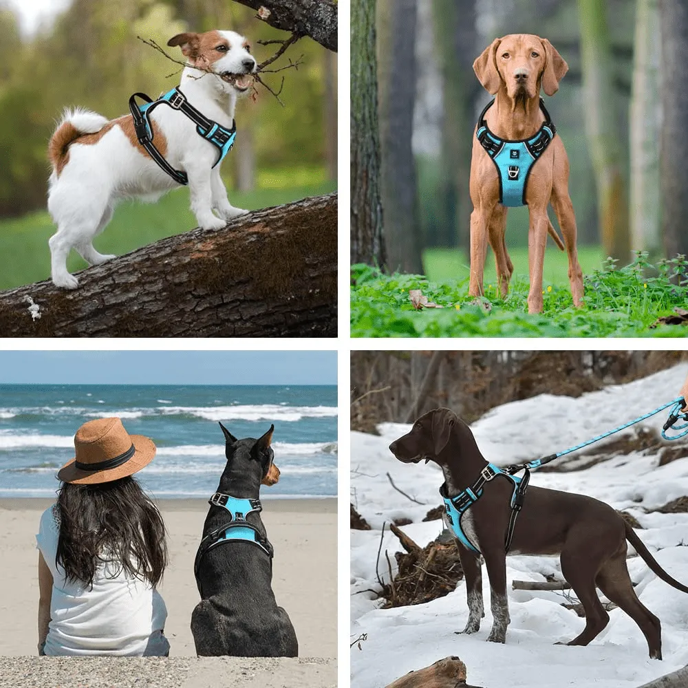 Hank 3M Reflective Harness for Puller Dogs (Cyan Blue)