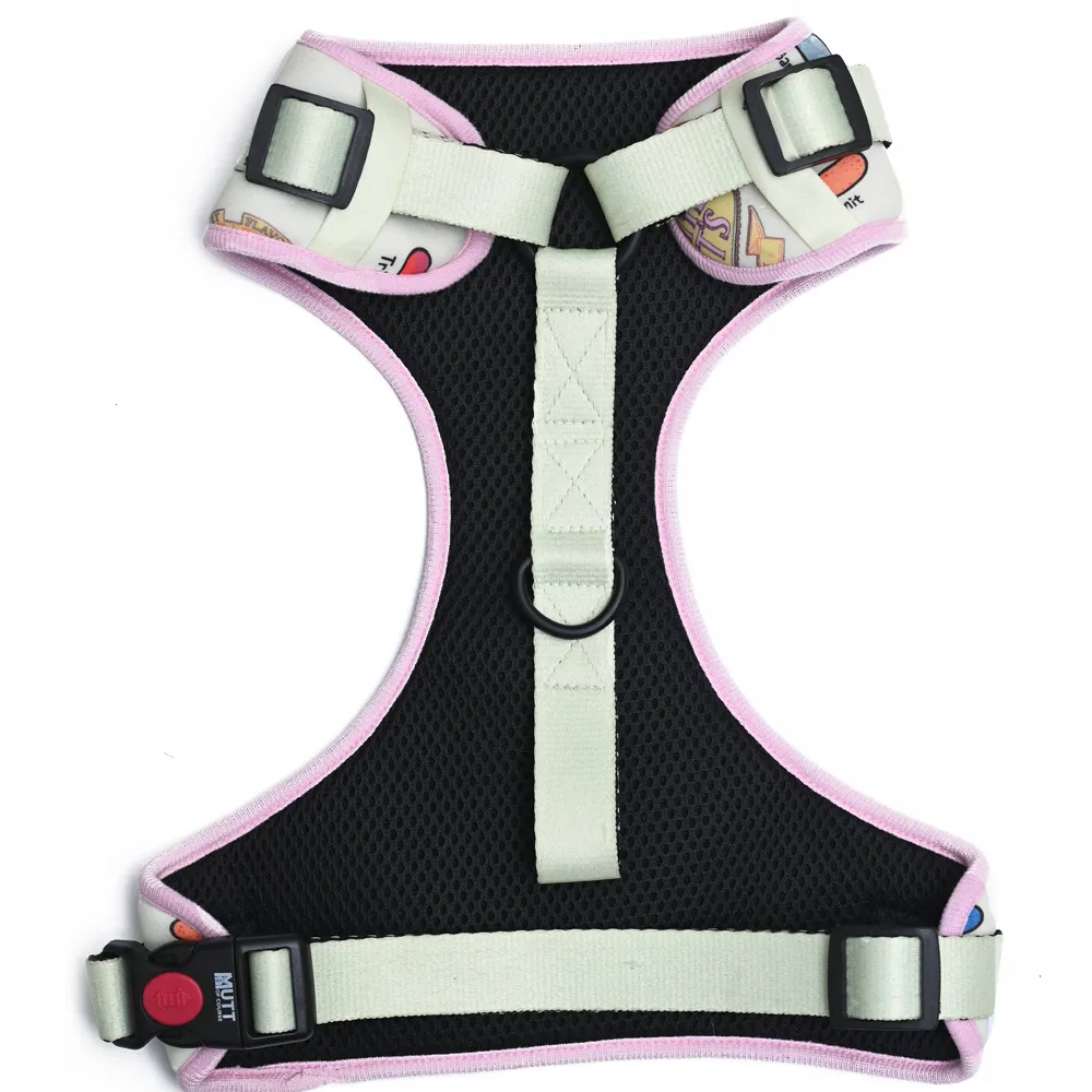Harry Potter Every Flavour Bean Harness for Dogs