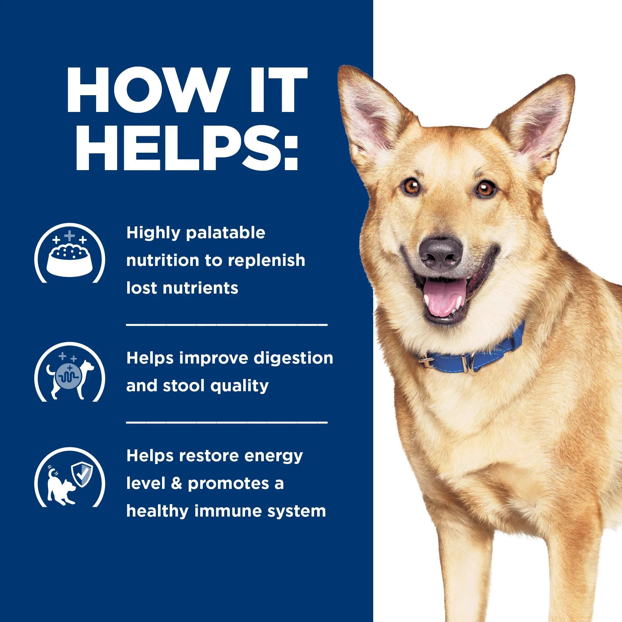 Hills Prescription Diet Dog i/d Digestive Care Chicken and Vegetable Stew Wet Food 156g x 24