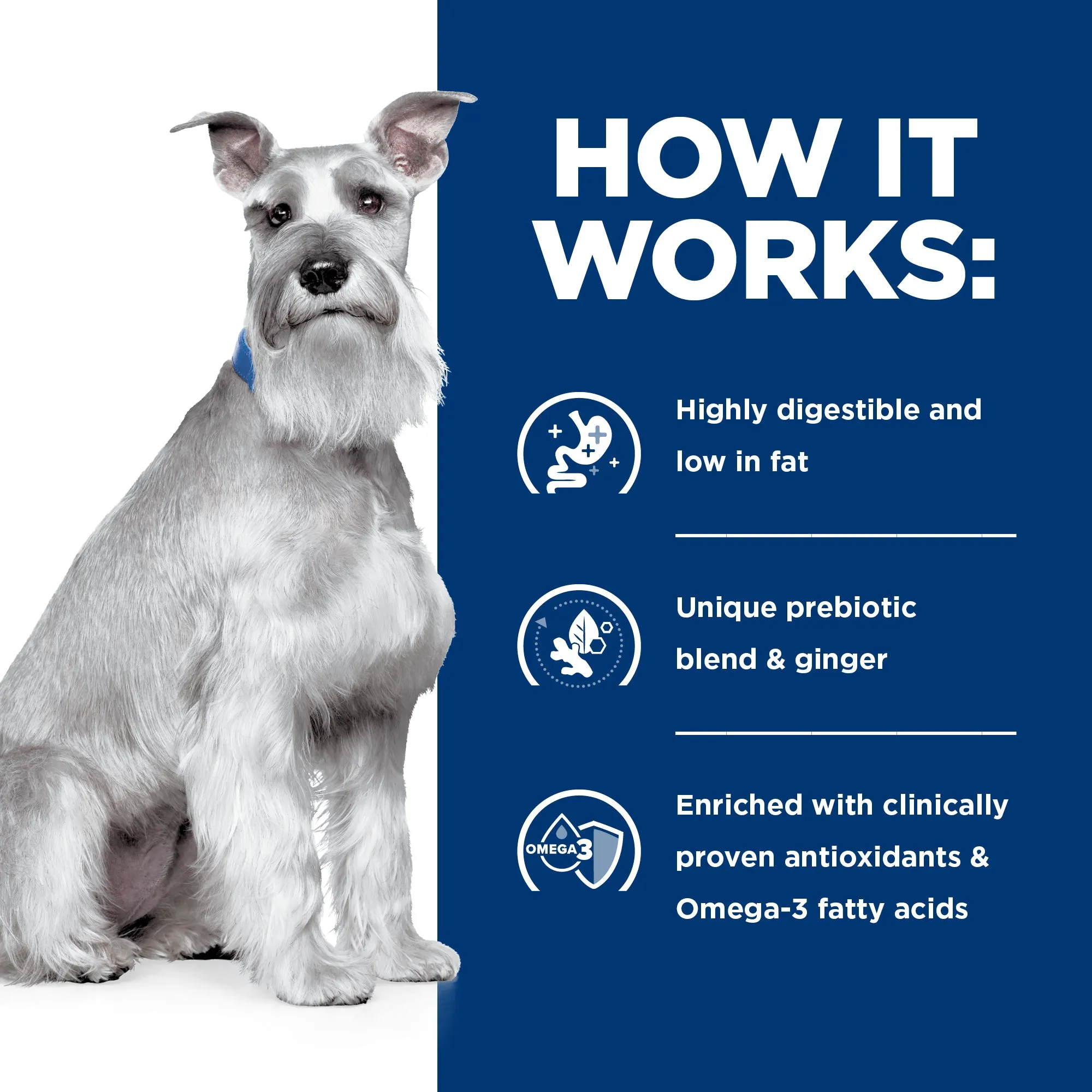 Hills Prescription Diet Dog i/d Low Fat Digestive Care Wet Food 370g x 12
