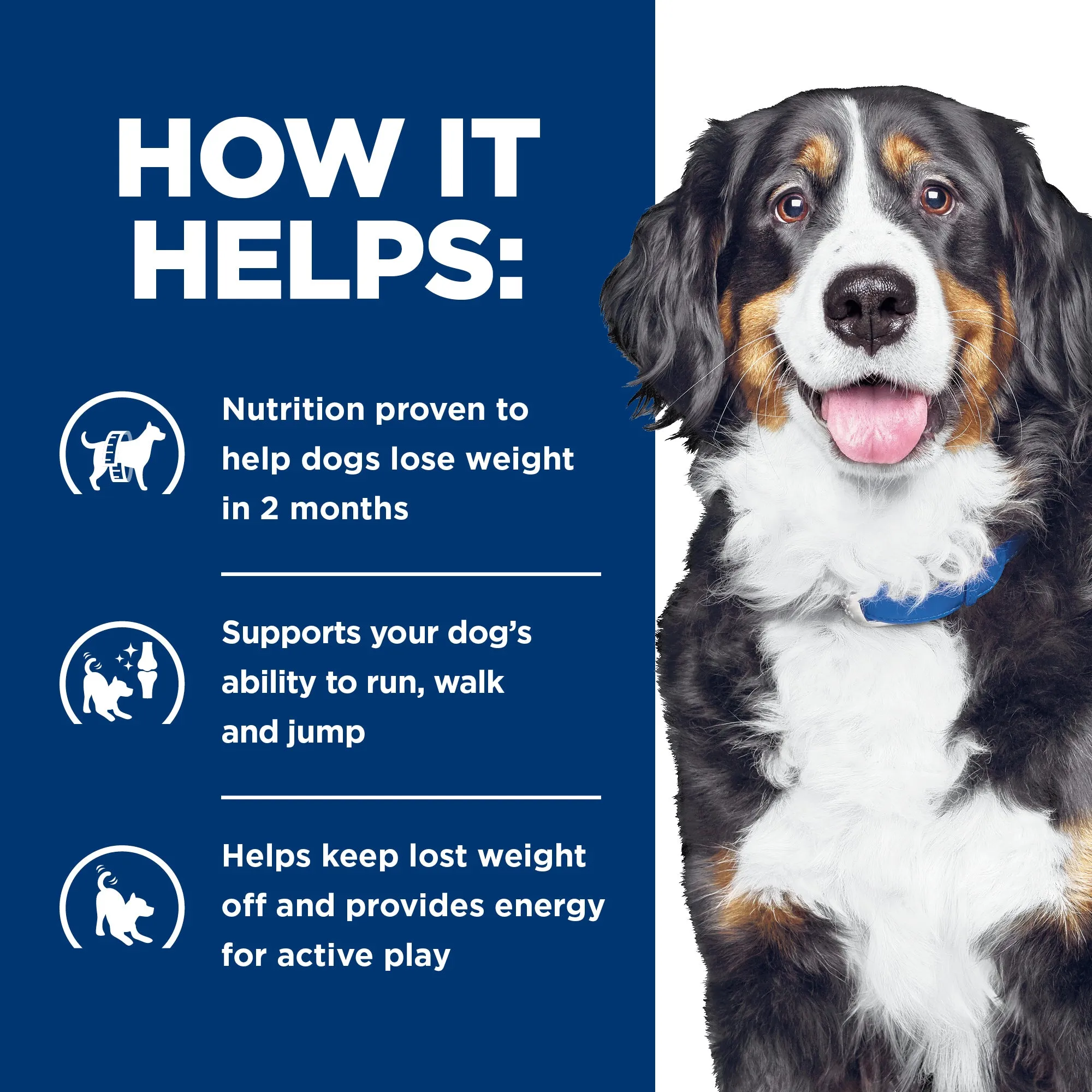 Hills Prescription Diet Dog Metabolic Weight   j/d Mobility Care Dry Food 10.8kg