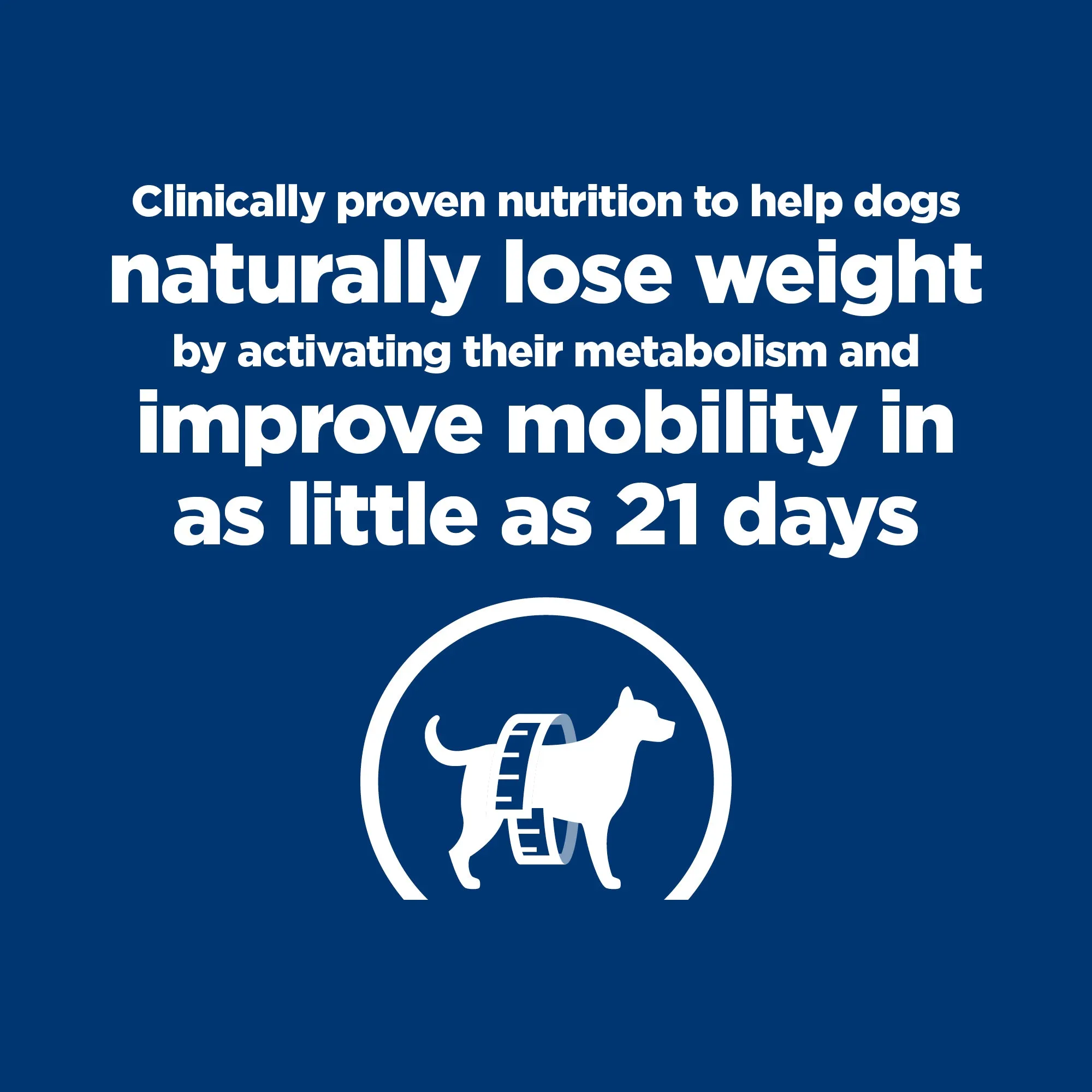 Hills Prescription Diet Dog Metabolic Weight   j/d Mobility Care Dry Food 10.8kg