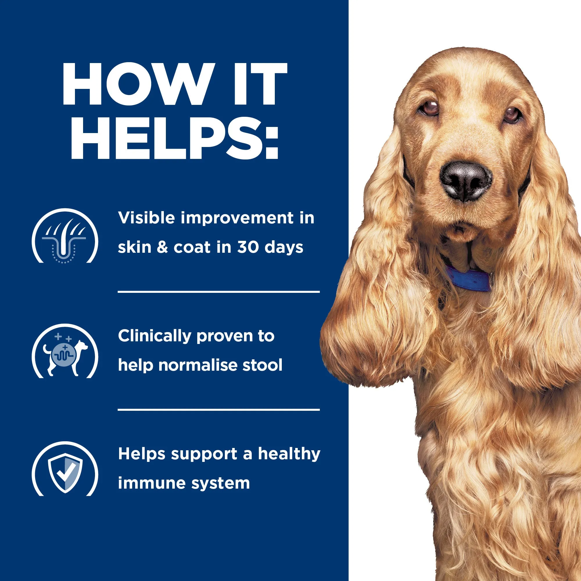 Hills Prescription Diet Dog z/d Skin/Food Sensitivities Original Wet Food 370g x 12