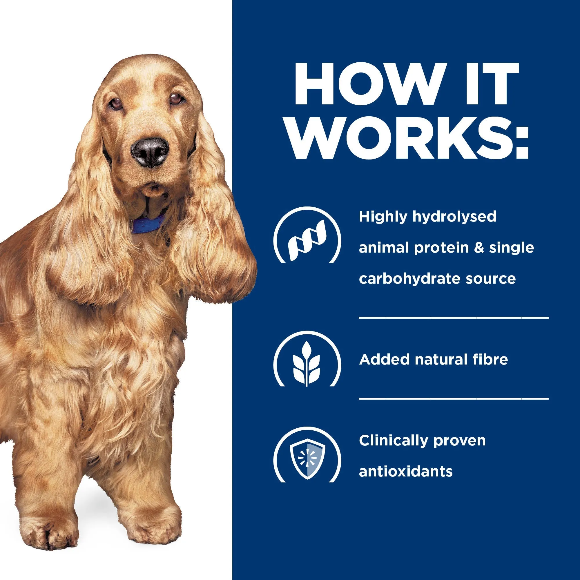 Hills Prescription Diet Dog z/d Skin/Food Sensitivities Original Wet Food 370g x 12