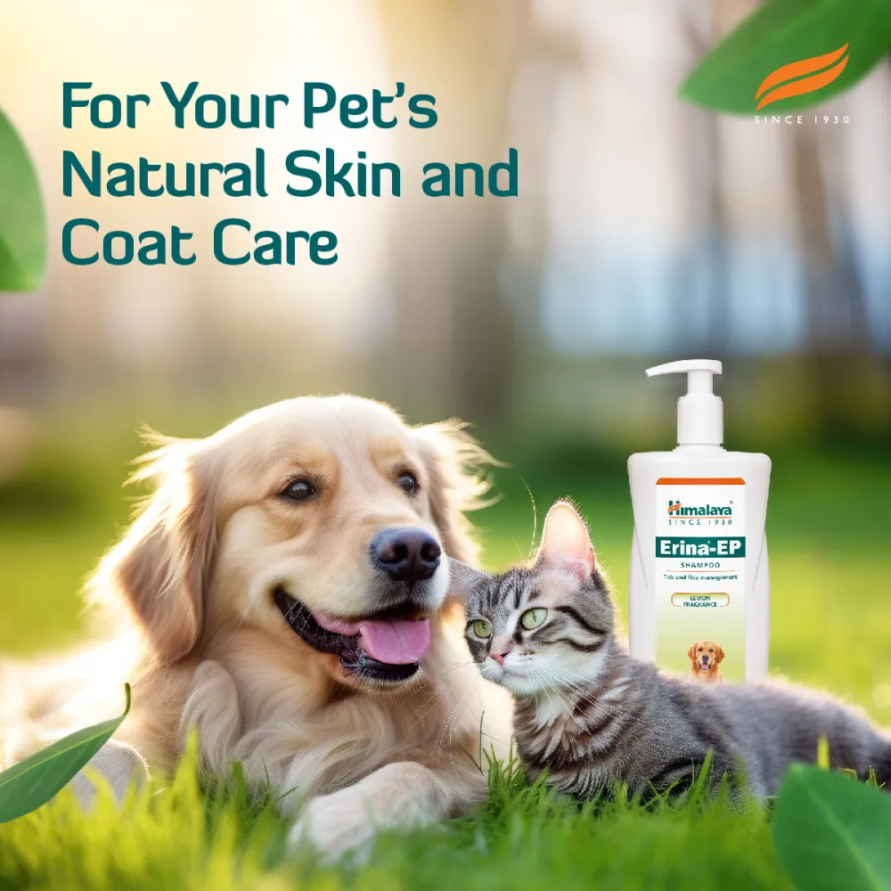 Himalaya Digestive Stimulant Digyton Drops and Erina EP Tick and Flea Shampoo for Dogs and Cats Combo