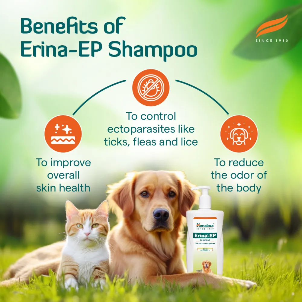 Himalaya Digestive Stimulant Digyton Drops and Erina EP Tick and Flea Shampoo for Dogs and Cats Combo