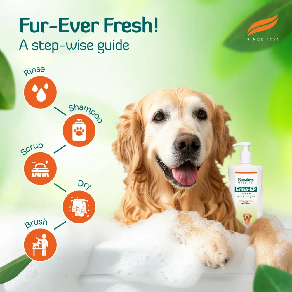 Himalaya Digestive Stimulant Digyton Drops and Erina EP Tick and Flea Shampoo for Dogs and Cats Combo