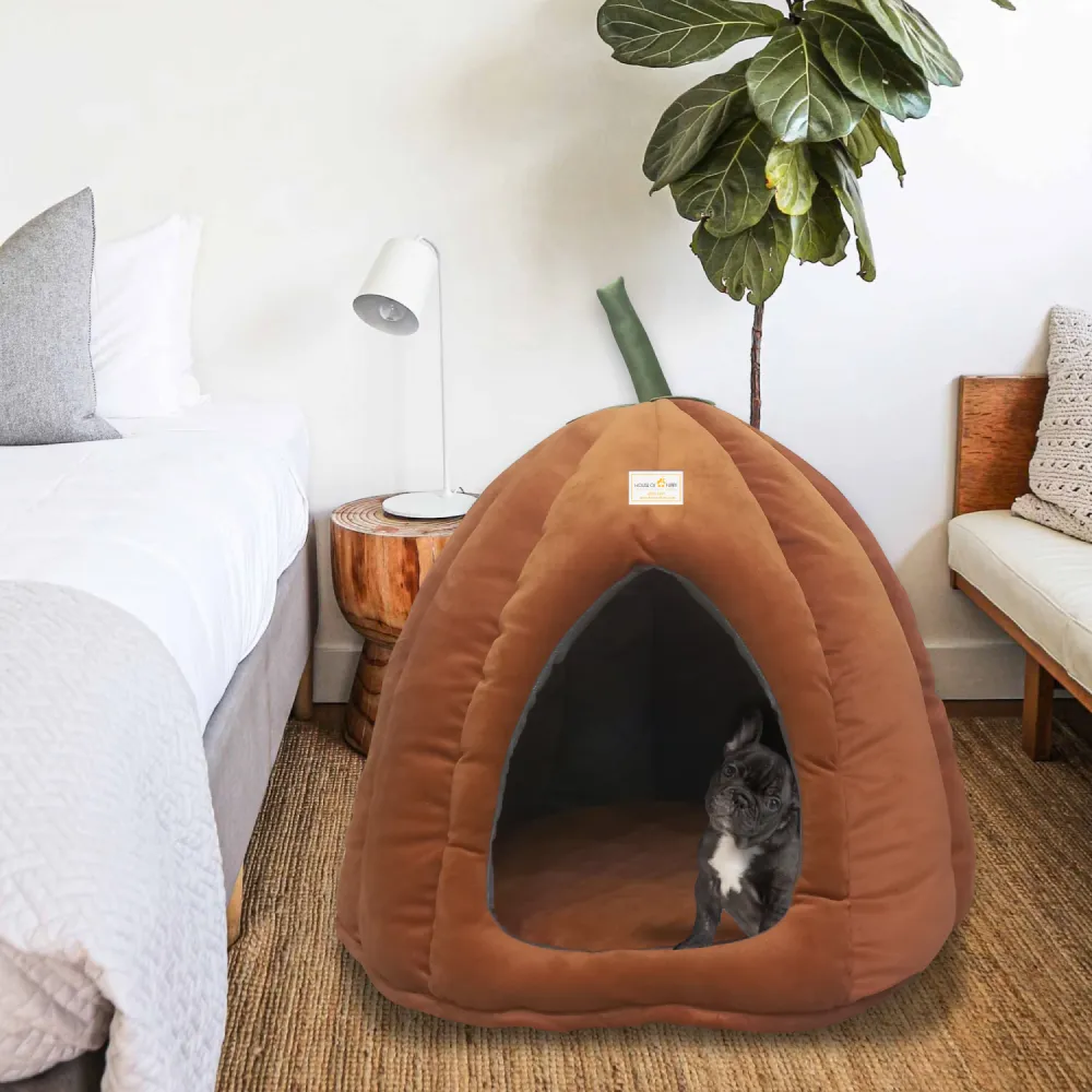 House of Furry Kaddu House for Dogs and Cats (Orange)