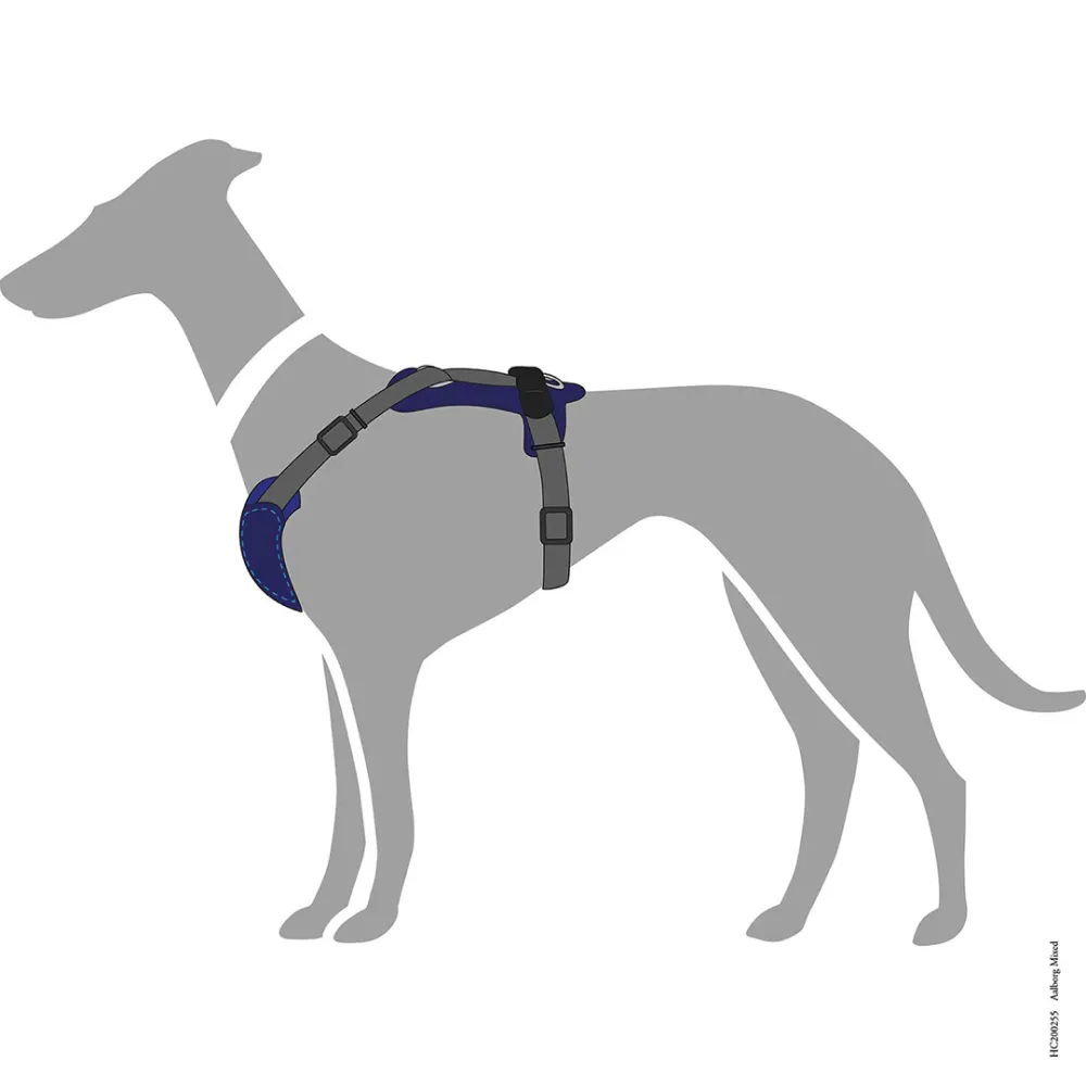 Hunter Aalborg Mixed Adjustable Harness for Dogs (Blue/Grey)