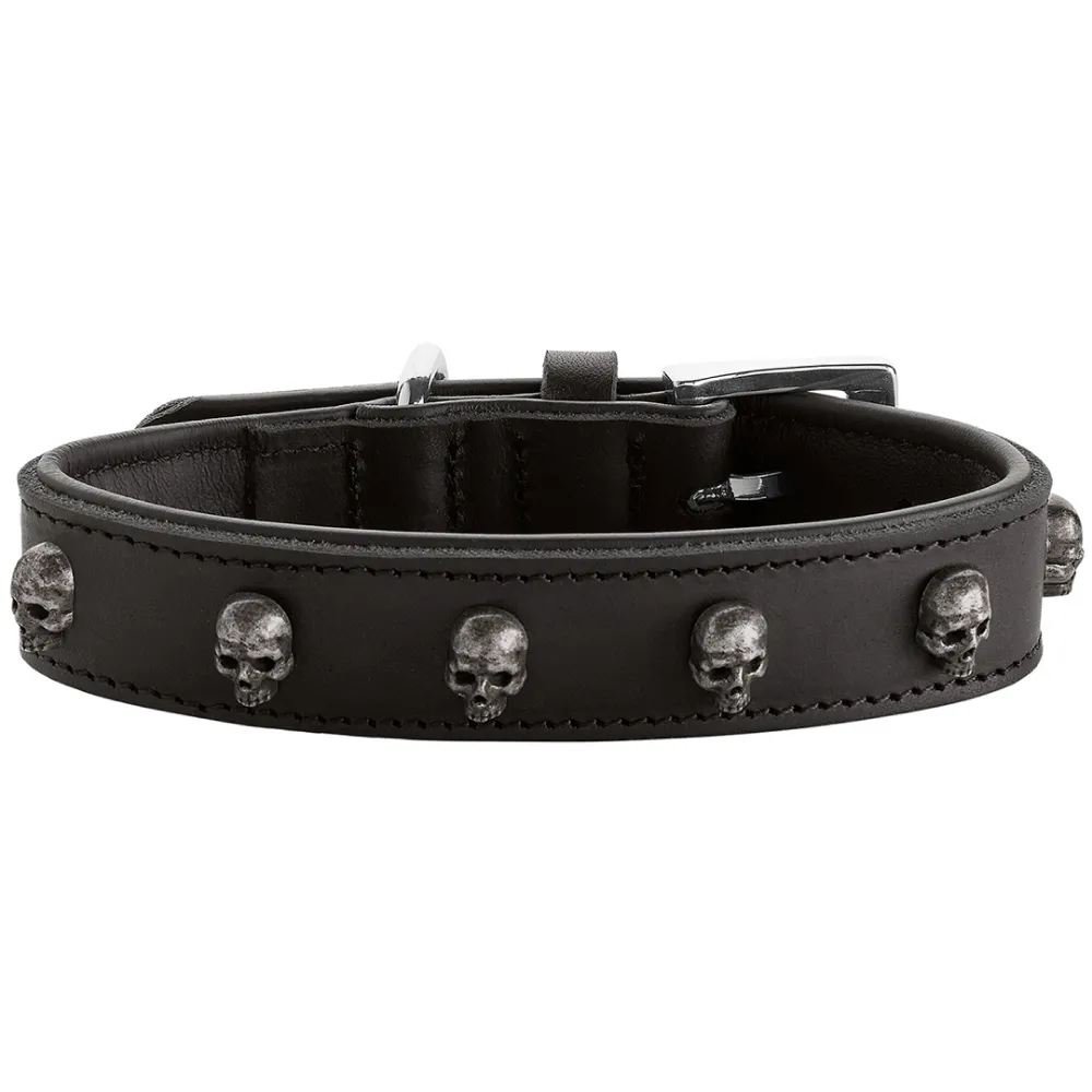 Hunter Tijuana Collar for Dogs (Black)