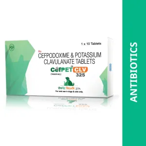 Intas Cefpet CLV 325 Tablets (Cefpodoxime & Potassium Clavulanate) for Dogs and Cats