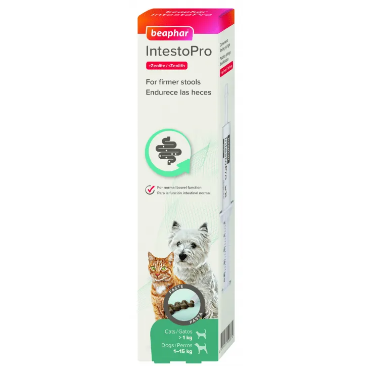 IntestoPro Anti Diarrhea Paste Syringe Small Dog & Cat 20ml Pets Qatar