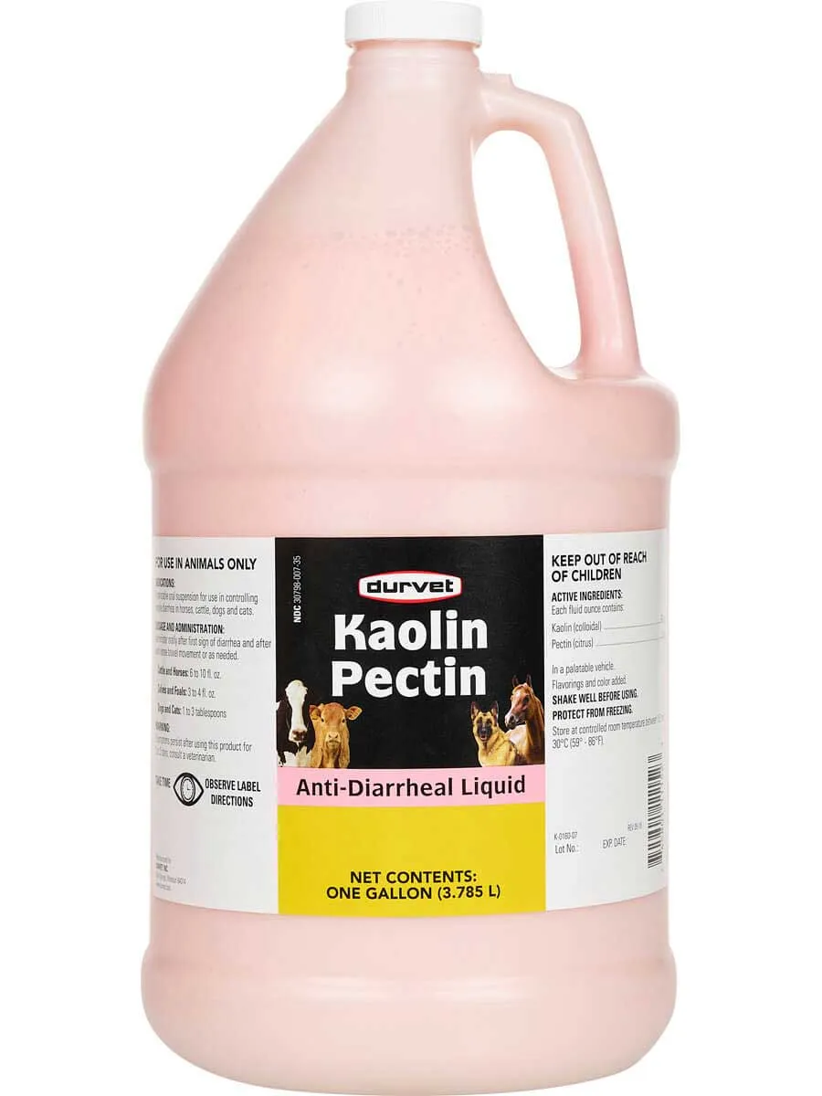 KAOLIN PECTIN ANTI-DIARRHEAL LIQUID 1GAL