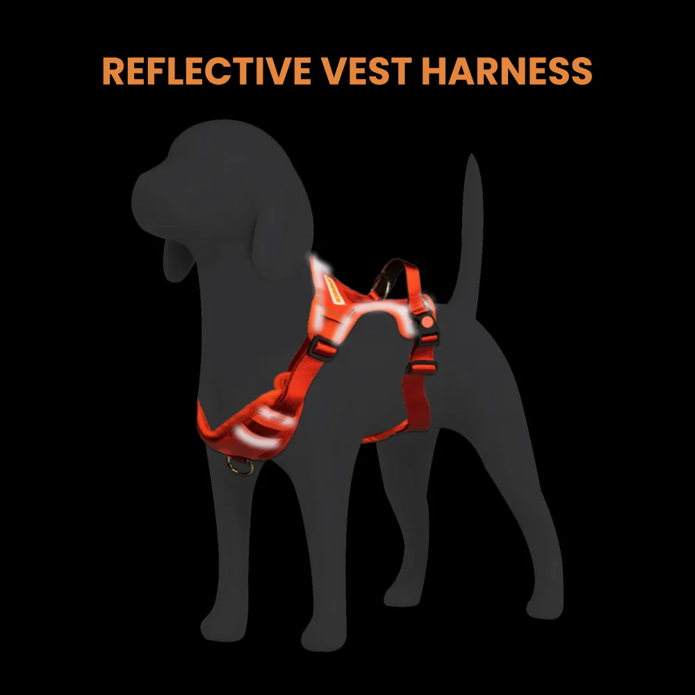 Kibbo Reflective Vest Harness with Dual Lock Buckle for Dogs (Parrot Green)