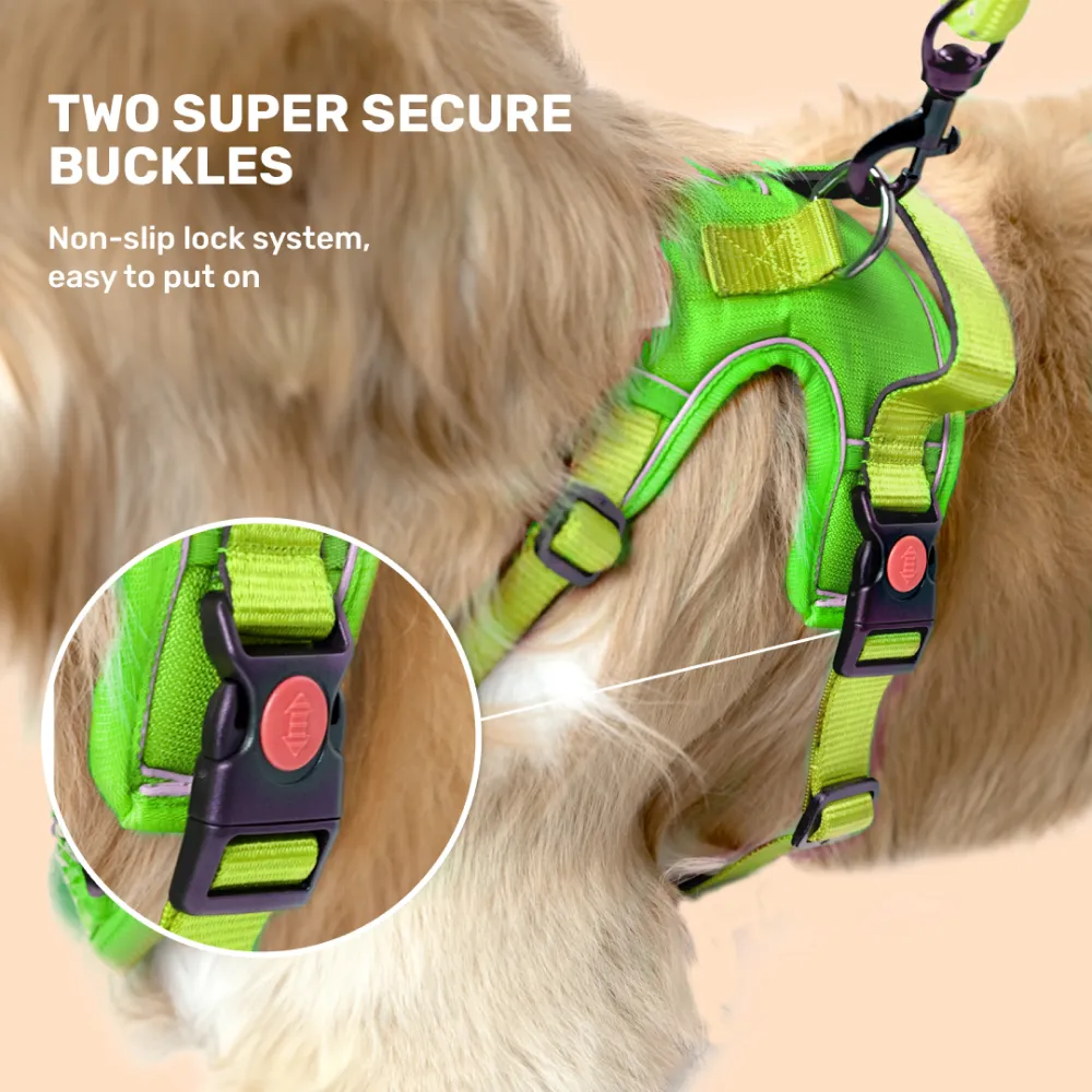 Kibbo Reflective Vest Harness with Dual Lock Buckle for Dogs (Parrot Green)