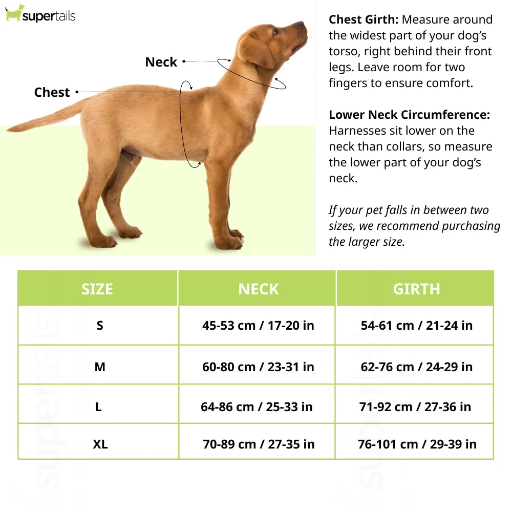 Kibbo Reflective Vest Harness with Dual Lock Buckle for Dogs (Parrot Green)