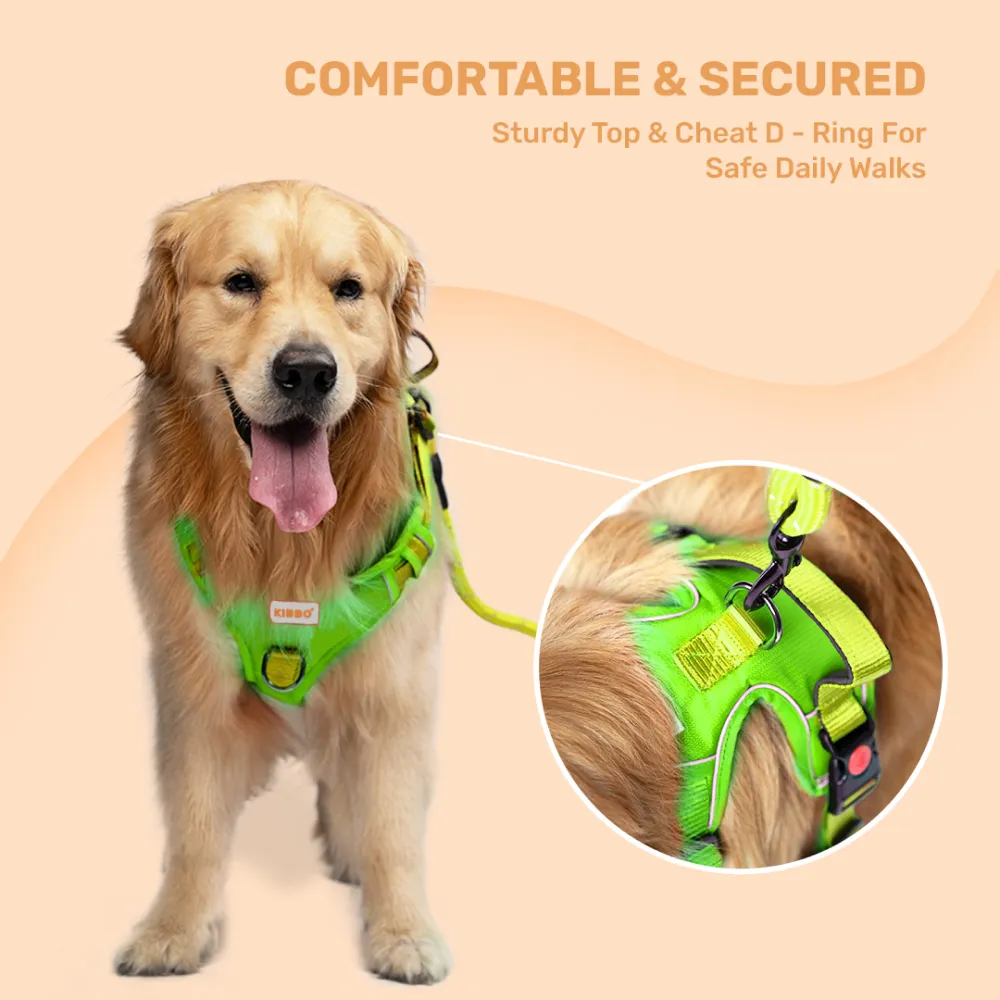 Kibbo Reflective Vest Harness with Dual Lock Buckle for Dogs (Parrot Green)