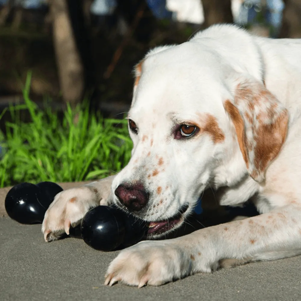 Kong Extreme Goodie Bone Toy for Dogs (Black) | For Aggressive Chewers