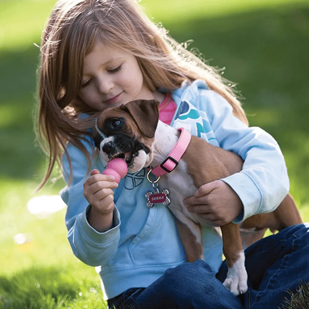 Kong Puppy Toy for Dogs (Pink) | For Aggressive Chewers