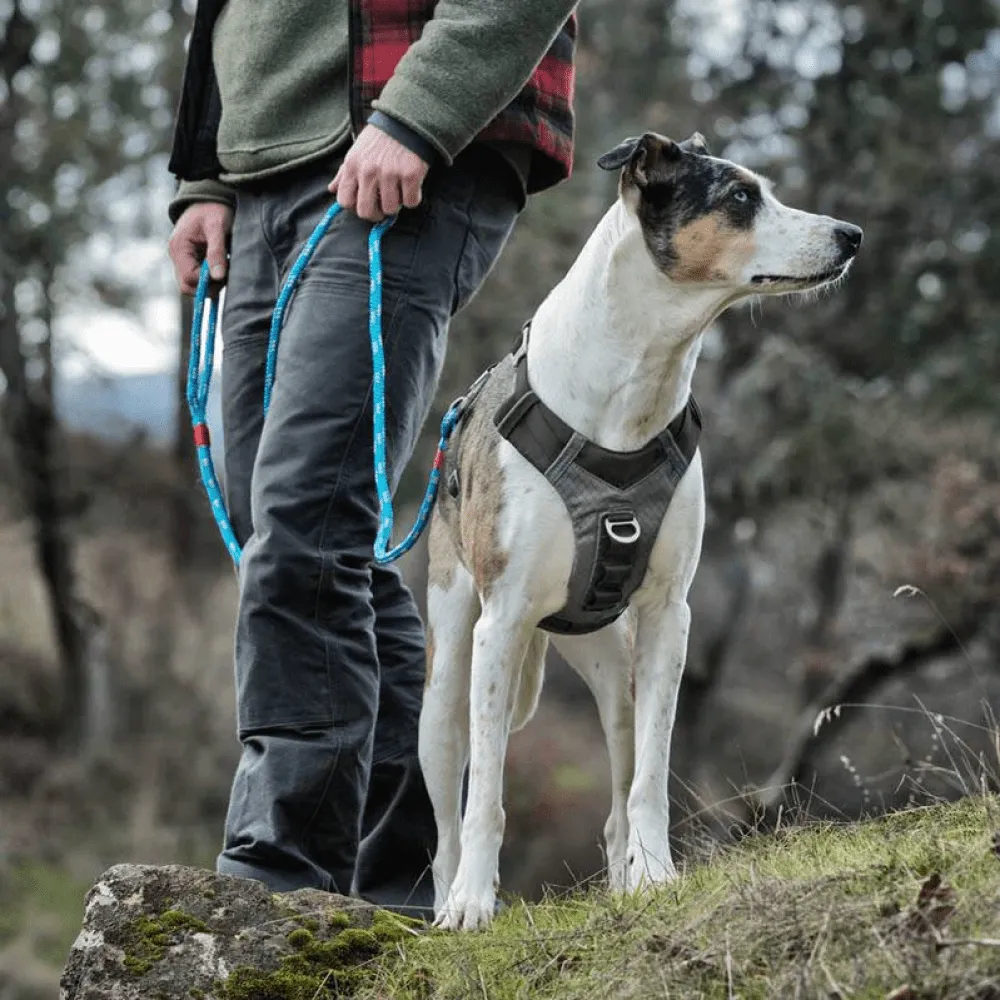 Kurgo Journey Air Harness for Dogs (Black/Gargoyle Grey)