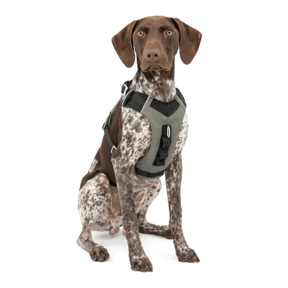 Kurgo Journey Air Harness for Dogs (Black/Gargoyle Grey)