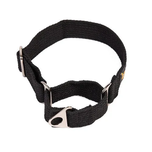 Let's Wag Martingale Collar for Dogs (Black)