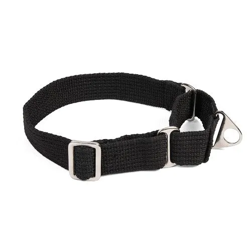 Let's Wag Martingale Collar for Dogs (Black)