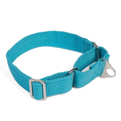 Let's Wag Martingale Fabric Collar for Dogs (Cobalt Blue)