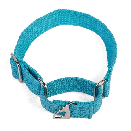 Let's Wag Martingale Fabric Collar for Dogs (Cobalt Blue)