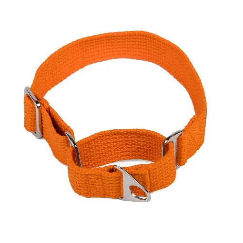 Let's Wag Martingale Fabric Collar for Dogs (Orange)