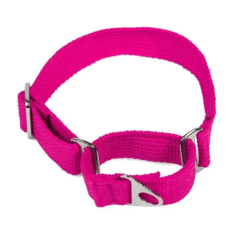 Let's Wag Martingale Fabric Collar for Dogs (Pink)