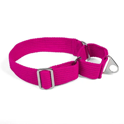Let's Wag Martingale Fabric Collar for Dogs (Pink)