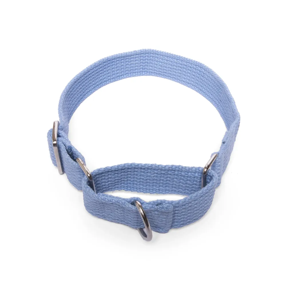 Let's Wag Martingale Fabric Collar for Dogs (Sky Blue)
