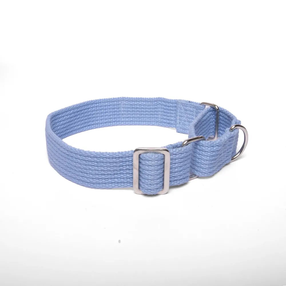 Let's Wag Martingale Fabric Collar for Dogs (Sky Blue)