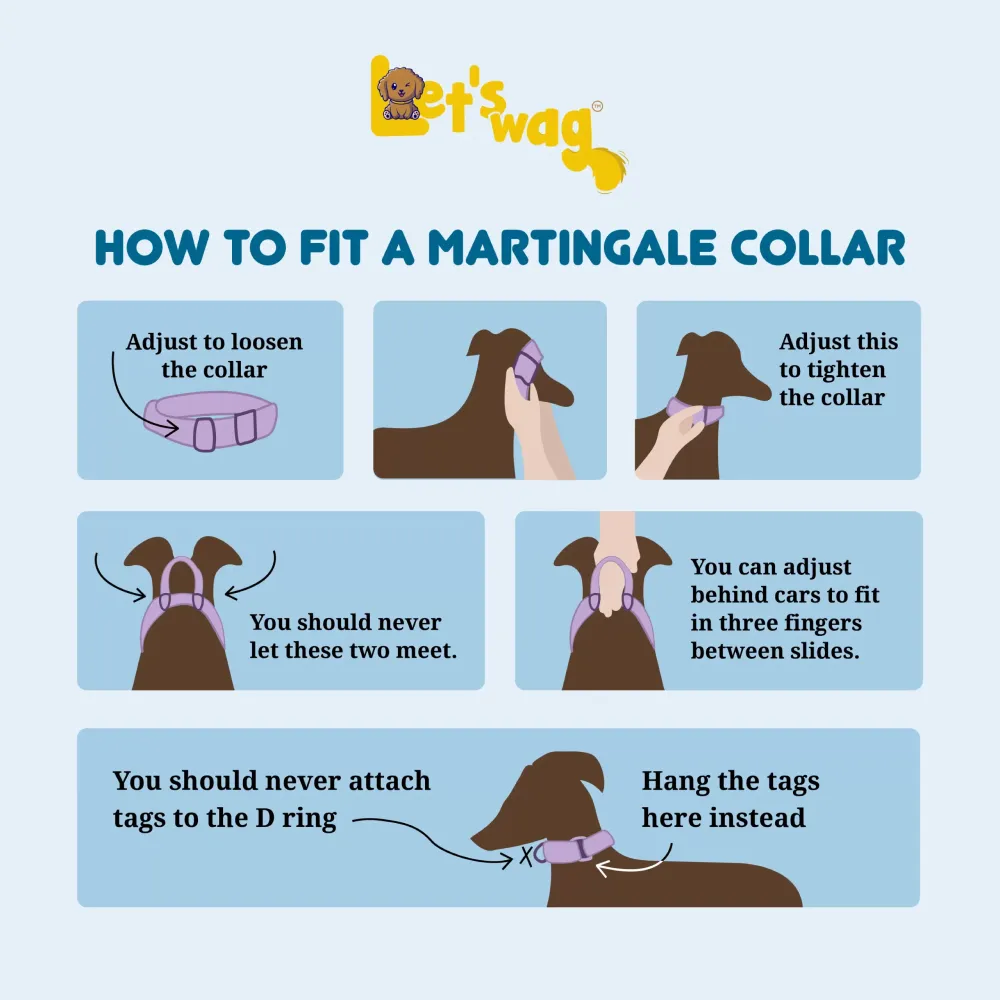 Let's Wag Martingale Fabric Collar for Dogs (Sky Blue)