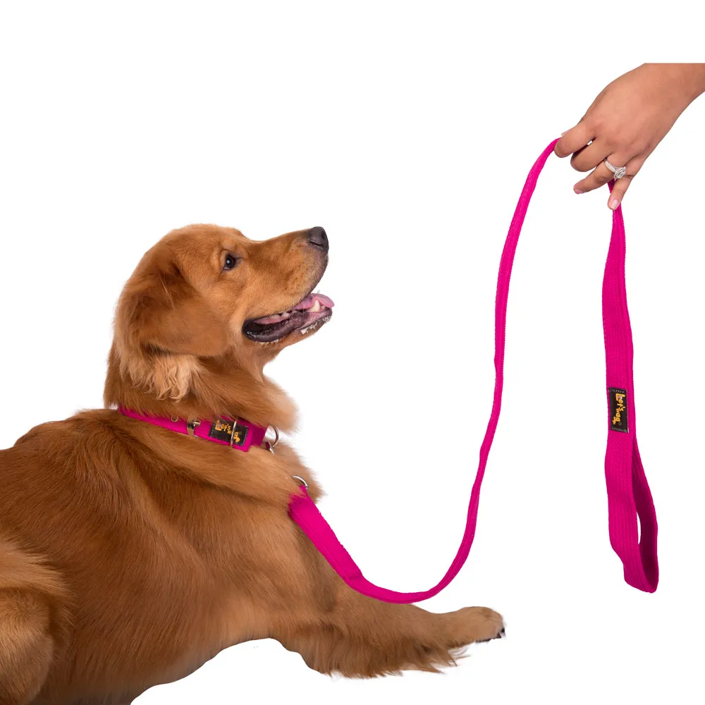 Let's Wag Single Handle Fabric Leash for Dogs (Pink)