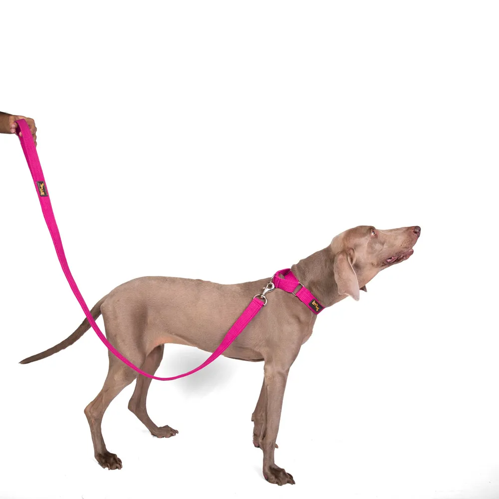 Let's Wag Single Handle Fabric Leash for Dogs (Pink)