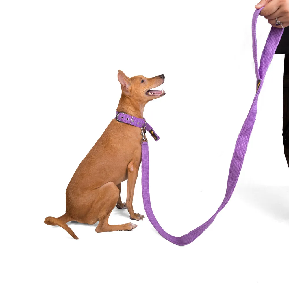 Let's Wag Single Handle Fabric Leash for Dogs (Purple)