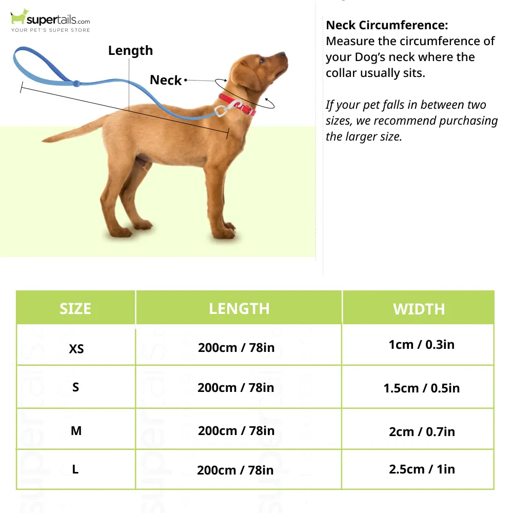 Max & Molly Ducklings Multi-Function Leash for Dogs (Blue)