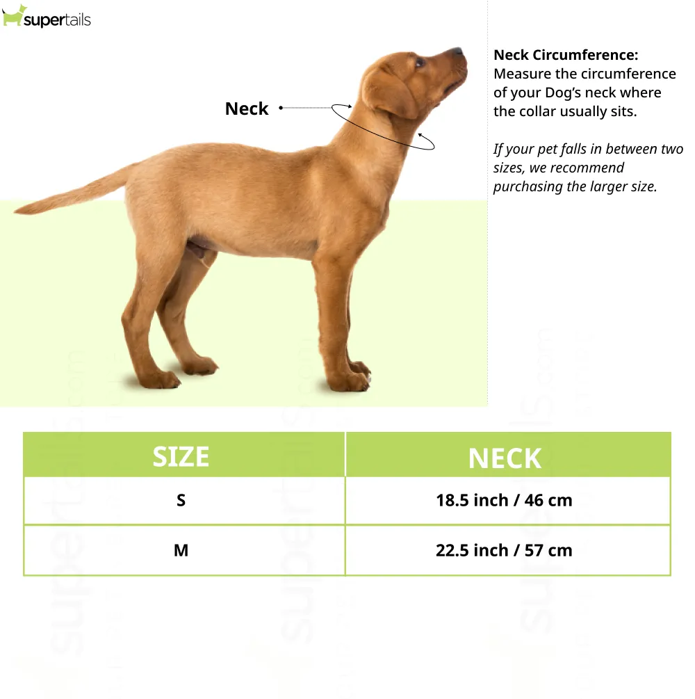 Mitag Anti Loss Device with Collar for Small Dogs (Black) | IOS