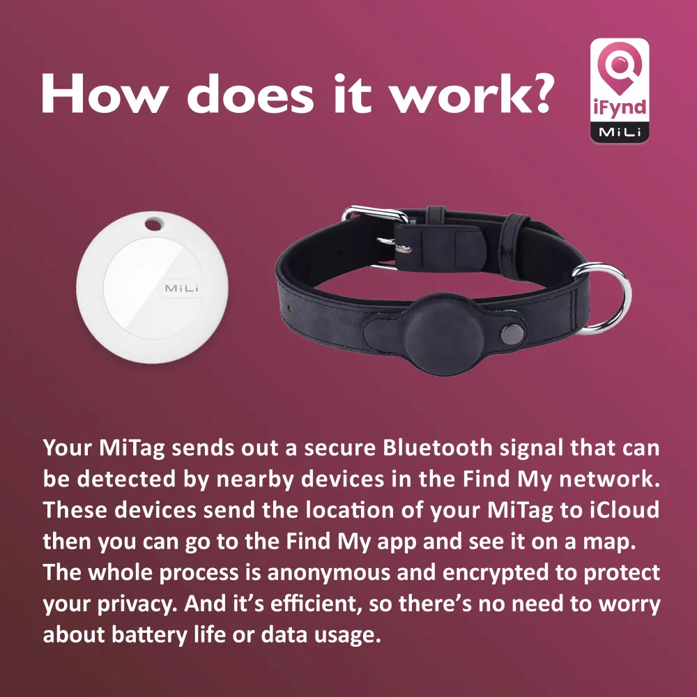 Mitag Anti Loss Device with Collar for Small Dogs (Black) | IOS