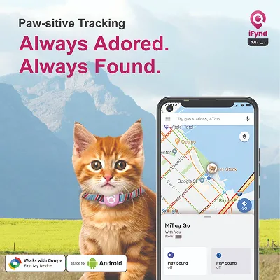 Mitag Go Anti Loss Device with Collar for Cats (Green) | Android