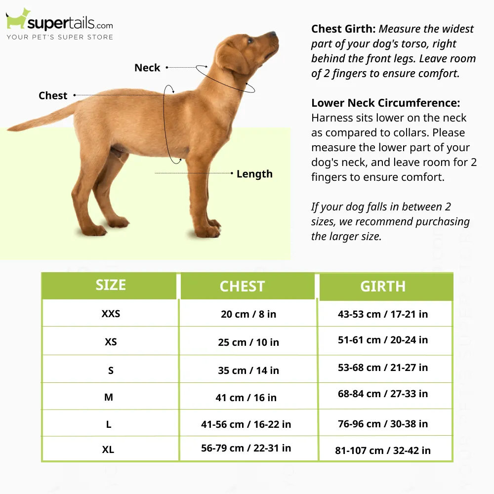 Mutt of Course Coral Reef Harness for Dogs