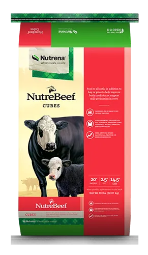 NB CATTLE BREEDER CUBE 20%  - MASCARROTE 20%