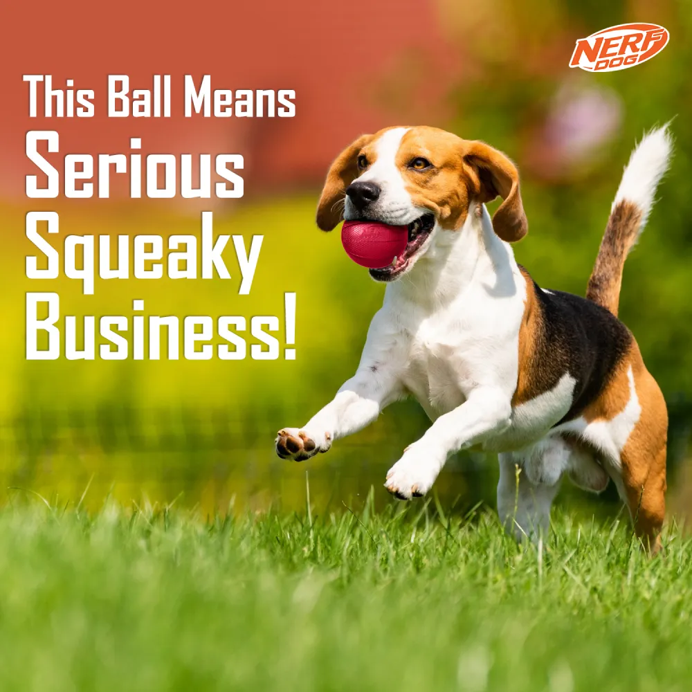 Nerf Bash Transparent TPR Classic Squeak Ball Toy for Dogs (Red)