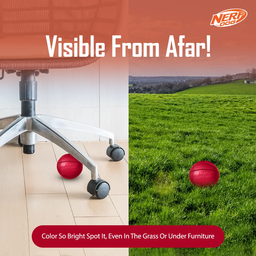 Nerf Bash Transparent TPR Classic Squeak Ball Toy for Dogs (Red)