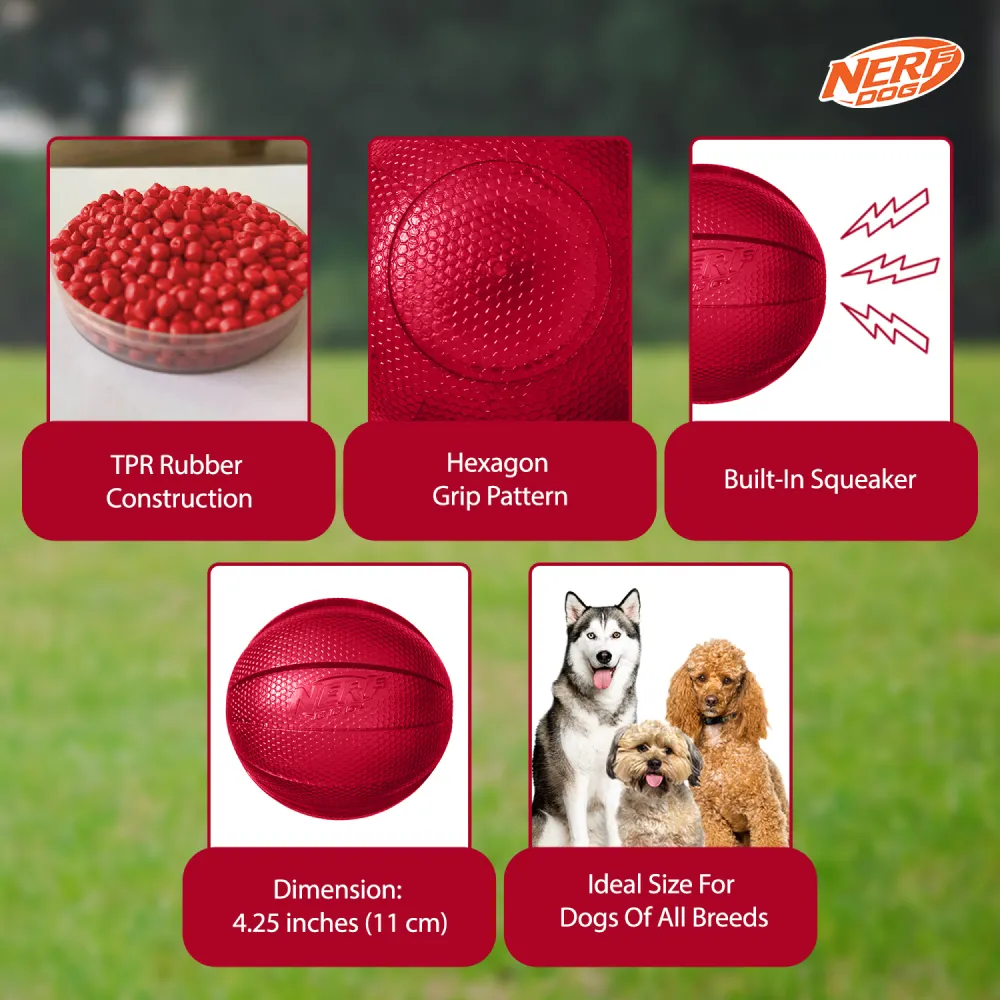Nerf Bash Transparent TPR Classic Squeak Ball Toy for Dogs (Red)