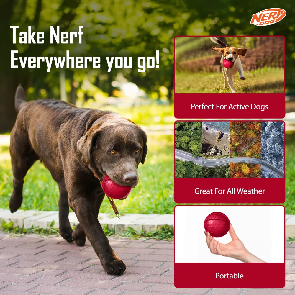 Nerf Bash Transparent TPR Classic Squeak Ball Toy for Dogs (Red)