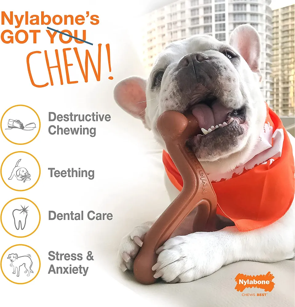 Nylabone Puppy Teething Chicken Flavoured Chew and Ring Bone Toy for Dogs (Brown)
